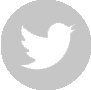 twitter icon